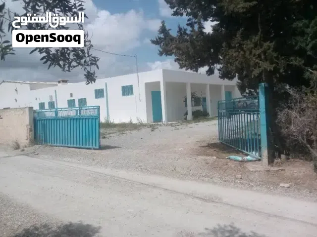 معمل للبيع بقرمباليه بدون معدات