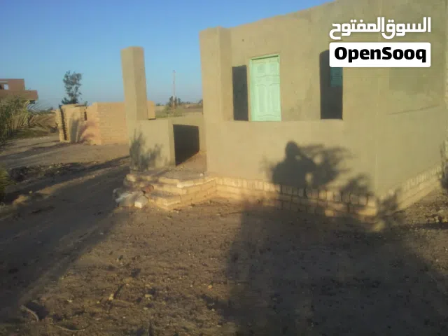 خمسة فدان  زاتون  للبيع فى السويس