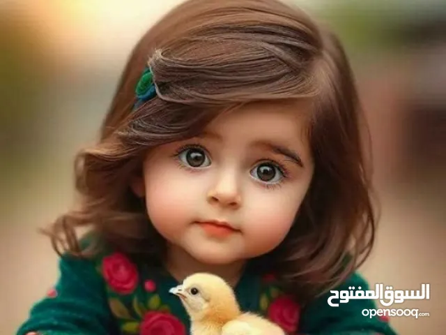 محمد إبراهيم
