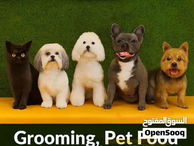Pet Grooming, Food and Accessories