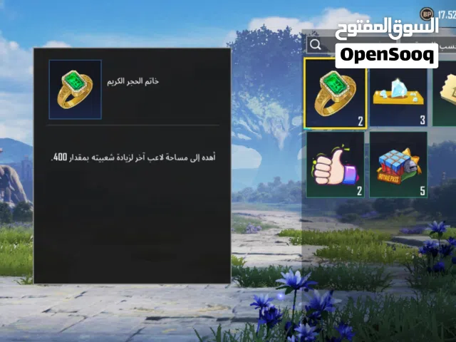 Pubg Accounts and Characters for Sale in Ibb