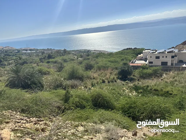  Land for Rent in Jordan Valley Dead Sea