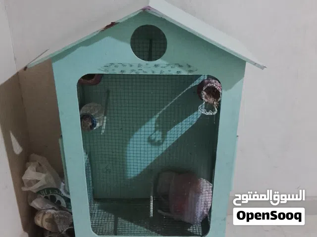 سزنه لوح معالج