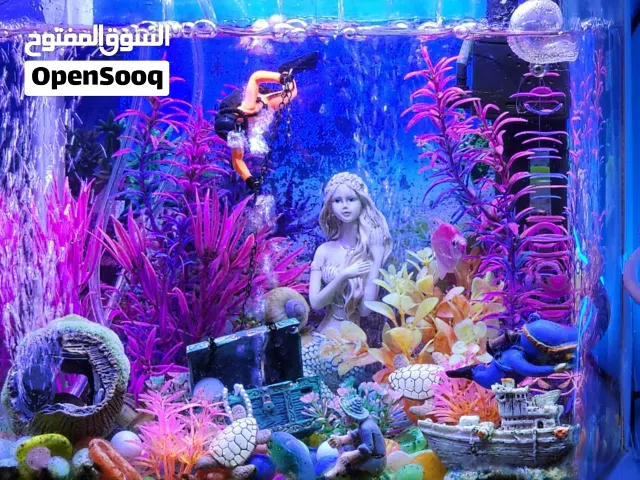 حوض سمك للبيع