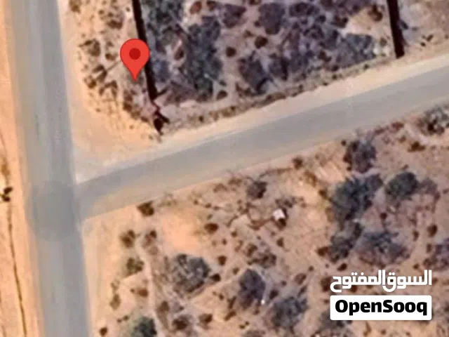 قطعة أرض مميزة جداً للبيع على طريق القيو (رئيسي)
