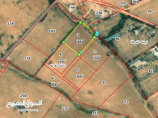 Farm Land for Sale in Amman Areinba Al Gharbiyah