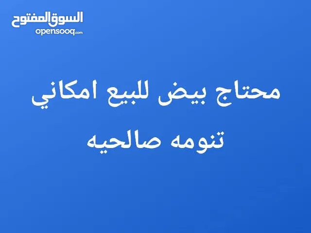 محتاج بيض للبيع مكاني تنومه الصالحيه