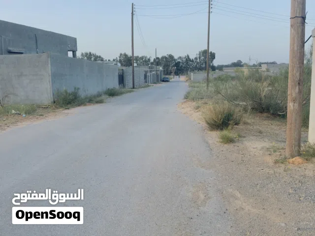 ارض 700 متر  النشيع - بير التركي