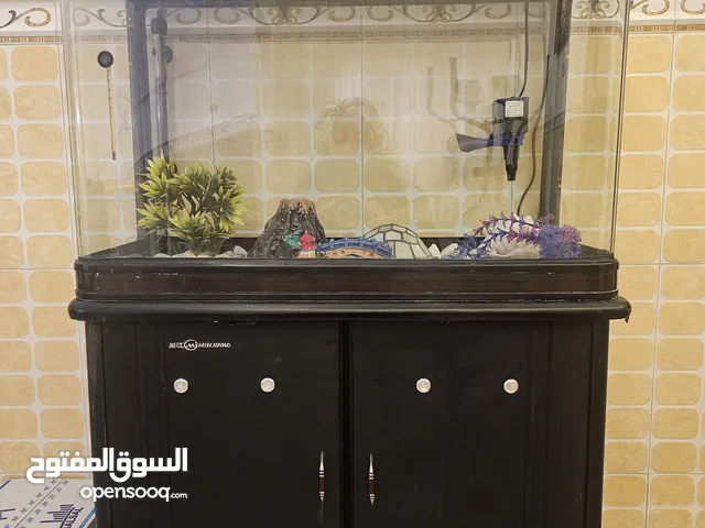 حوض اسماك نظيف