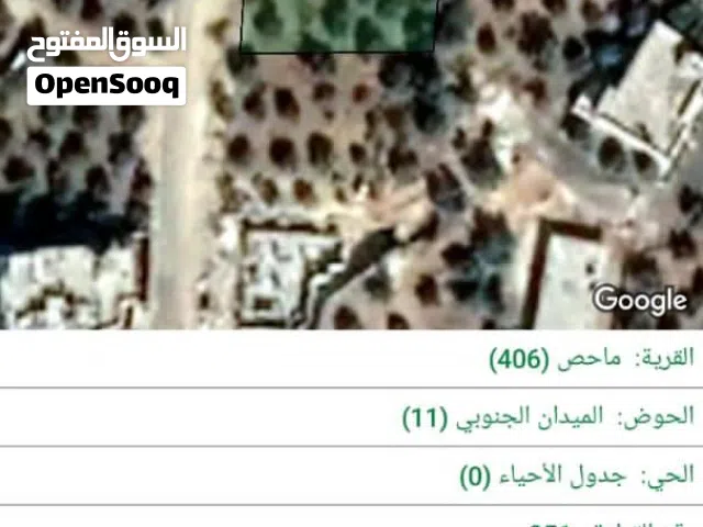 السلط ماحص فحيص