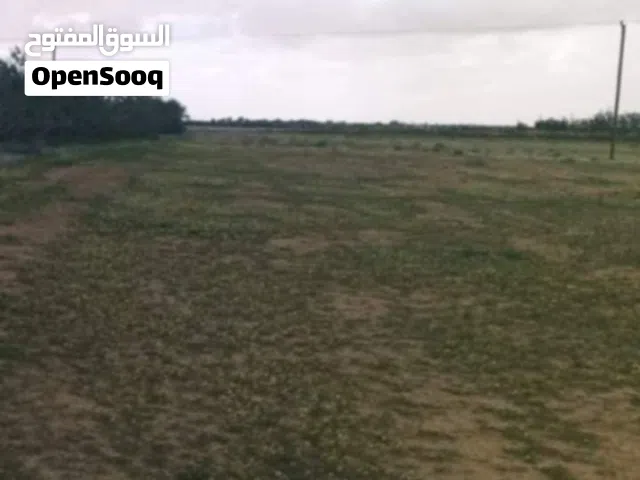 Farm Land for Sale in Misrata AlSakt