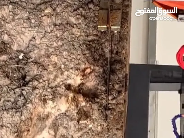 منشار خشب كهربائي احترافي جديد