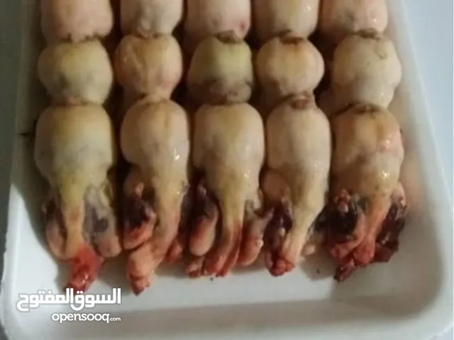 عصافير التين ( الدخل)