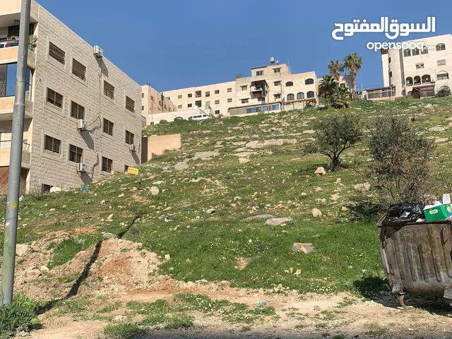 Residential Land for Sale in Amman Abu Alanda