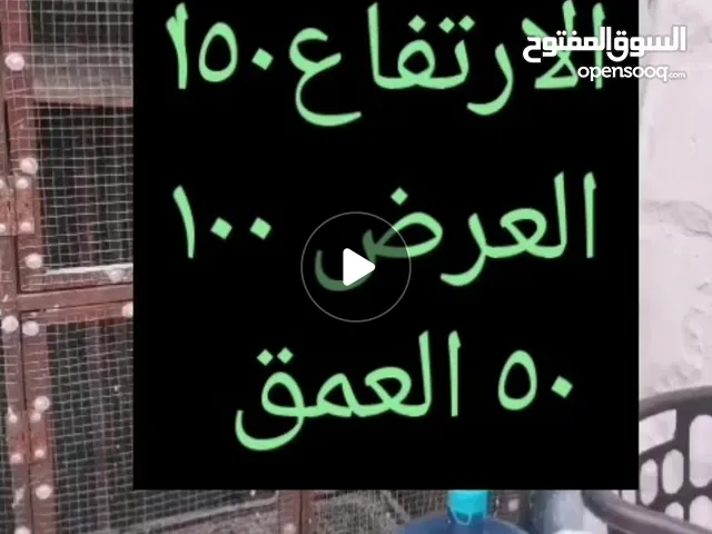 قفص عصافير للبيع