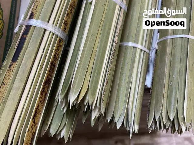 مشاكيك زور فرض
