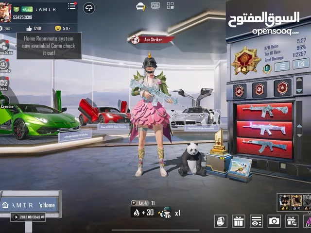 Pubg account level 80
