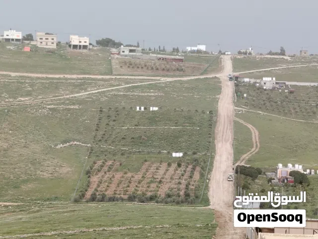 Farm Land for Sale in Mafraq Bala'ama