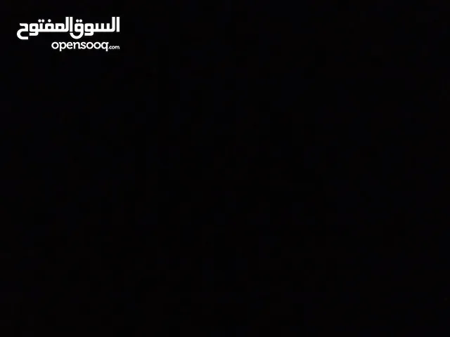 مطلوب كلب للتبني