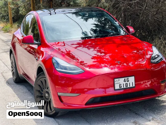 2020 Tesla Model Y Long Range