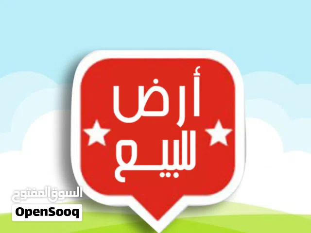 هكتار ونصف على الرئيسي للبيع
