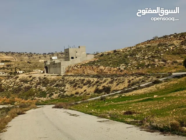 Residential Land for Sale in Zarqa Al-Kamsha
