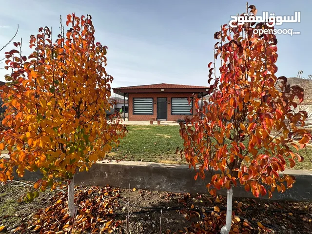 1 Bedroom Chalet for Rent in Dohuk Other