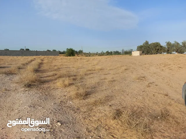 Farm Land for Sale in Zawiya Western Zawiya
