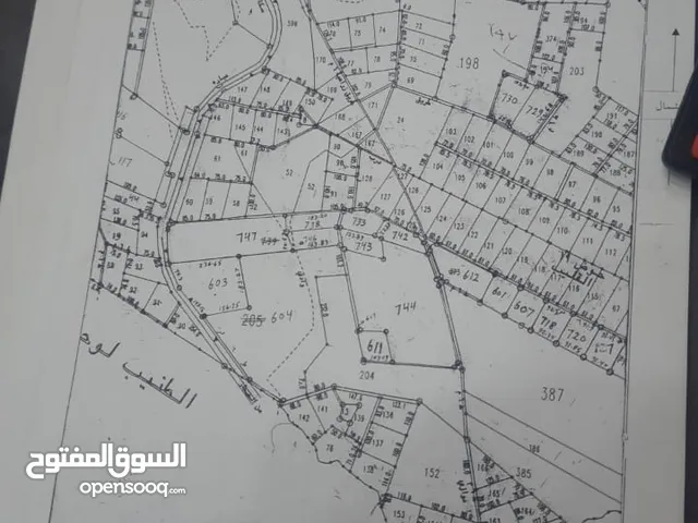 Mixed Use Land for Sale in Amman Al Lubban