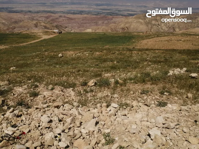 4500 م السلط الوطية سهلة مثل الكف اطلالة غربية كاملة ع جبال فلسطين