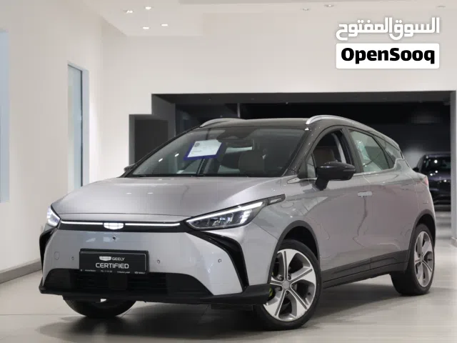 2024 Geely Geometry C Standard
