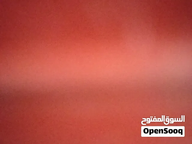 3حبات كوكتيل العمر تقريبا 6شهور مع 3قفاص