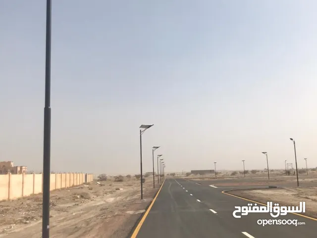 Commercial Land for Sale in Al Dhahirah Ibri