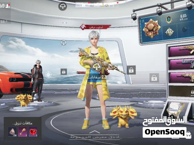 Pubg Accounts and Characters for Sale in Amman
