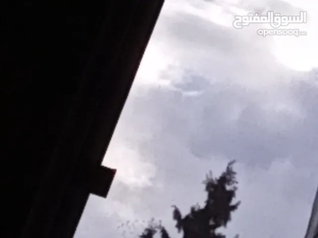 مطلوب فرس منظر ومحظر