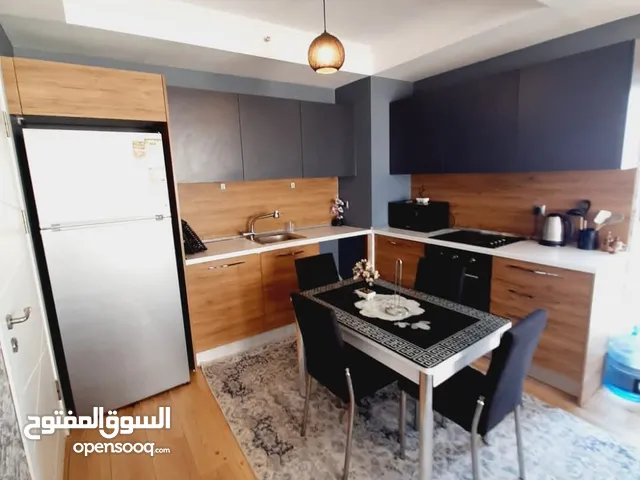 ان لوغو 2025