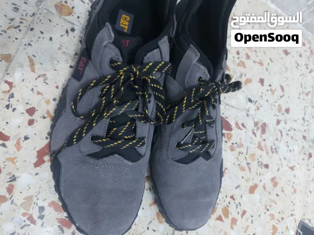 سبيدرو Cat استعمل مرتين فقط