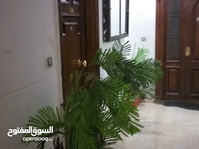 130 m2 3 Bedrooms Apartments for Rent in Cairo Zahraa Al Maadi