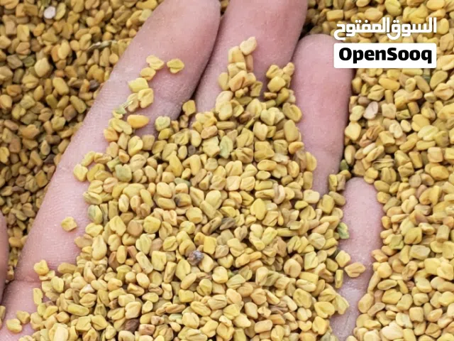 منتجات يمنيه للتصدير اعلى جوده واقل سعر