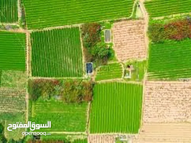 ارض للبيع المساحة 400 متر