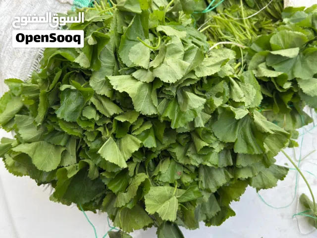 خبيزه بلديه