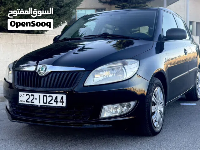 2013 Skoda Fabia Standard