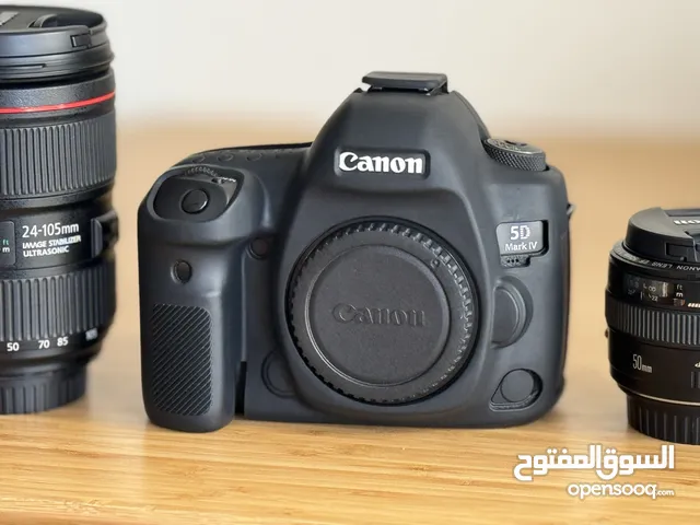 Canon 5D IV - lens 24-105 Is2 - 50mm gold line