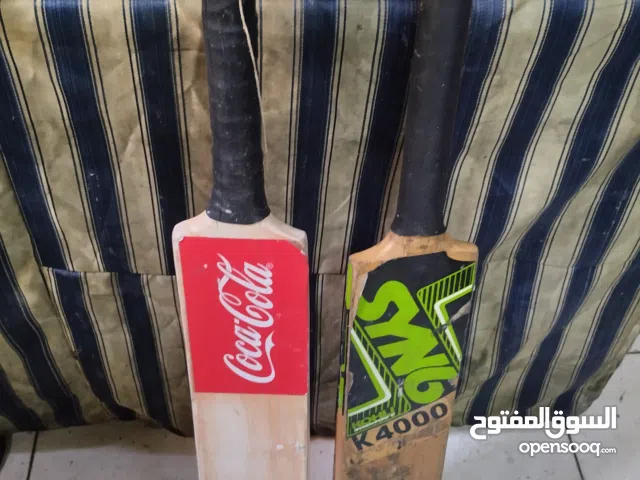 2 cricket bat