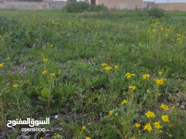 Residential Land for Sale in Benghazi Boatni