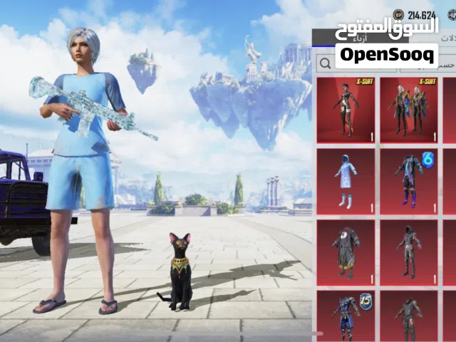 Pubg Accounts and Characters for Sale in Basra