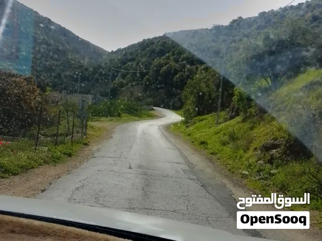 Farm Land for Sale in Ajloun Other