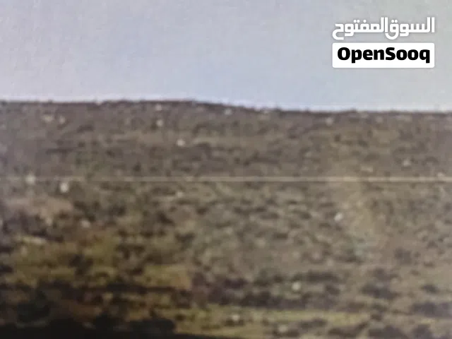 Farm Land for Sale in Tafila Other