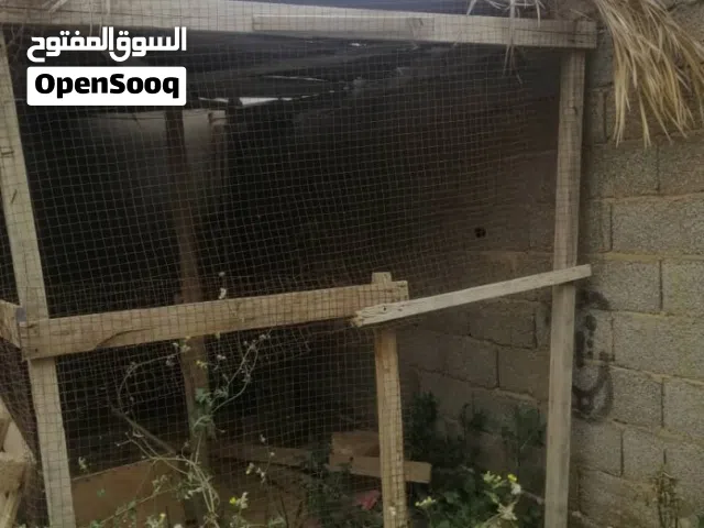 قفص للبيع لليبي يربي