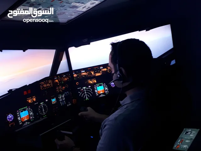 Pro Flight Simulator for Sale
